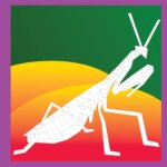 Paint by Sticker Kids Beautiful Bugs by Workman 2