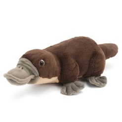 Platypus 12 by Wild Republic