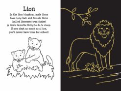 Scratch and Sketch At the Zoo by Peter Pauper Press 3