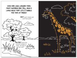 Scratch and Sketch Dot to Dot Animals by Peter Pauper Press 2
