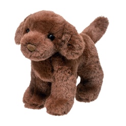 Silvia Chocolate Lab 8 by Douglas