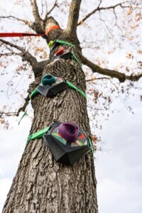 Slackers Tree Climbers by Slackers 1