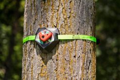 Slackers Tree Climbers by Slackers 4