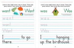 Trace and Learn Sight Words by Peter Pauper Press 3