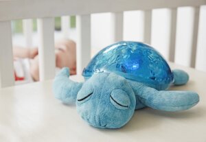 Tranquil Turtle by Cloud B 2