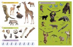 Ultimate Sticker Book Baby Animals by Dorling Kindersley 3