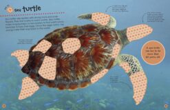 Ultimate Sticker Book Ocean by Dorling Kindersley 1