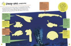 Ultimate Sticker Book Ocean by Dorling Kindersley 2