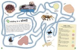 Ultimate Sticker Book Ocean by Dorling Kindersley 3