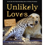 Unlikely Loves 43 Heartwarming True Stories from the Animal Kingdom by Workman