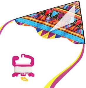 Wind Delta Kite by WindNSun 3