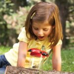 Big View Bug Jars by Learning Resources 2