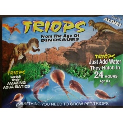 Countertop Triops by Toyops