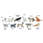 Domestic Cats TOOB by Safari 1