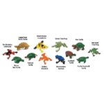 Frogs Turtles TOOB by Safari 1