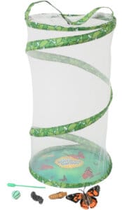 Giant Butterfly Garden with Voucher by Insect Lore 1