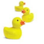 Good Luck Mini Duck by Safari 2