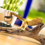 Great Horned Owl Figure by Safari 3