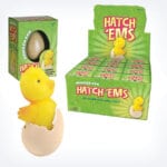 Hatchems Chick by Geo Central 1