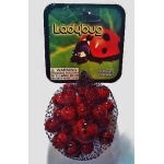 Ladybug Marble Pack by Play Visions