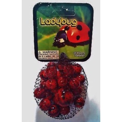 Ladybug Marble Pack by Play Visions