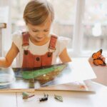 Life Cycle of a Monarch Butterfly by Safari 2