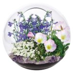 Mini Fairy Triad Terrarium by Dunecraft 1