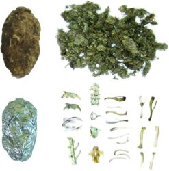 Owl Pellets by Copernicus 1