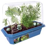 Prehistoric Dinosaur Land Gardening Kit by Dunecraft 1