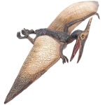 Pteranodon Figure by Papo