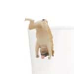 Pug Blind Box by Kitan Club 3
