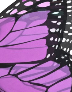 Purple Butterfly Wings by Douglas 1