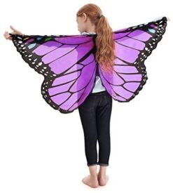 Purple Butterfly Wings by Douglas 2