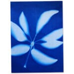 Sun Art Solar Paper Small Kit by TEDCO 2