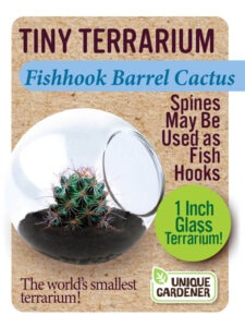 Tiny Terrarium Cactus by Dunecraft 4