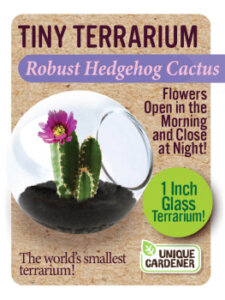 Tiny Terrarium Cactus by Dunecraft 8
