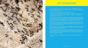 100 Backyard Activities That Are the Dirtiest Coolest Creepy Crawliest Ever by Page Street Publishing 2