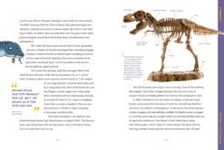 Absolutely Everything A History of Earth Dinosaurs Rulers Robots and Other Things Too Numerous to Mention by What on Earth Books 2