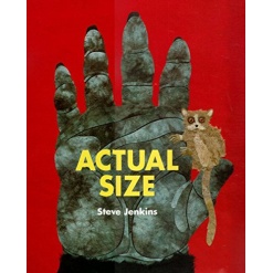 Actual Size by Houghton Mifflin