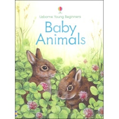 Baby Animals Usborne Beginners by Usborne