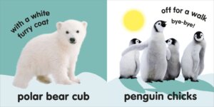 Baby Touch and Feel Fluffy Animals by DK Publishing 2
