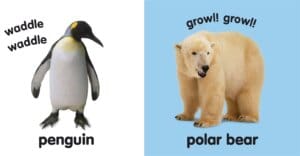 Baby Touch and Feel Wild Animals by DK Publishing 2