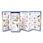 Backyard Birds of the Northeast by Earth Sky Water 1