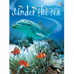Beginners Under The Sea Usborne Beginners by Usborne