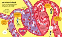 Big Book of the Body by Usborne 2
