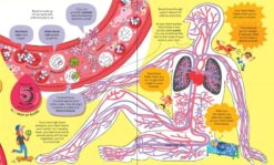Big Book of the Body by Usborne 3