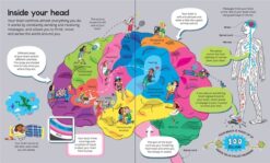Big Book of the Body by Usborne 4