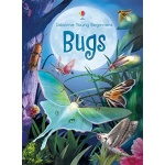 Bugs Usborne Beginners by Usborne