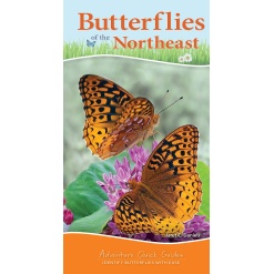 Butterflies of the Northeast Identify Butterflies with Ease by Adventure Publications