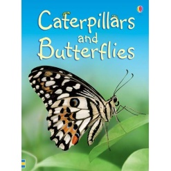 Caterpillars and Butterflies Usborne Beginners by Usborne